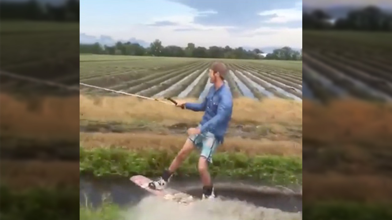 Video Horse pulls wakeboarder across ditch in Florida WSOC TV