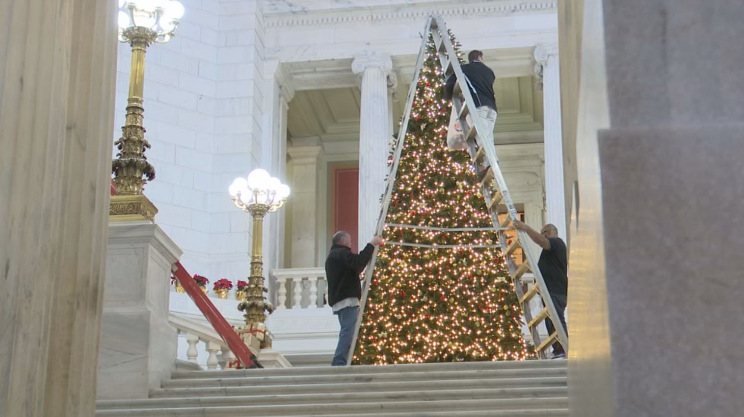 Rhode Island buys artificial Christmas tree for capitol building