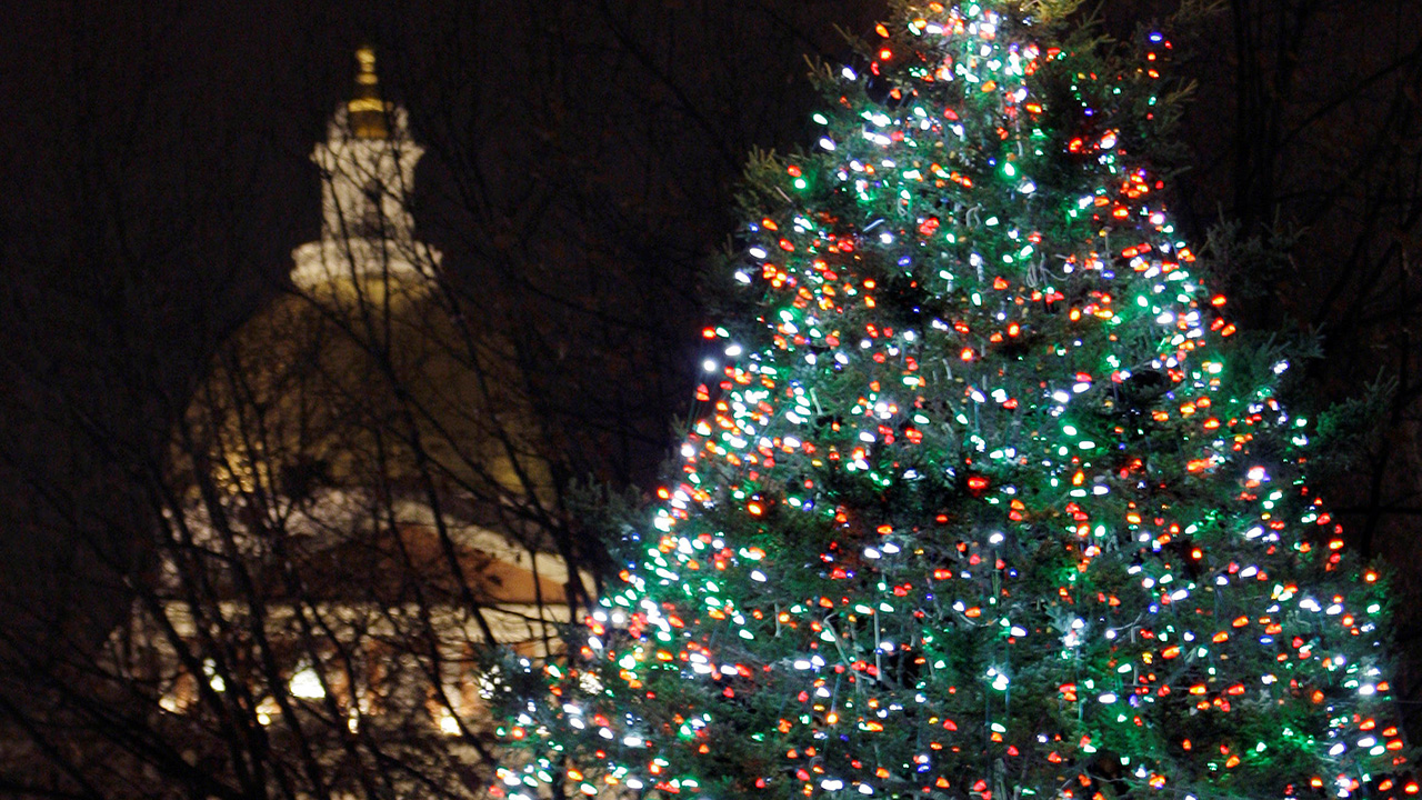 Boston Christmas tree about to make journey from Nova Scotia Boston