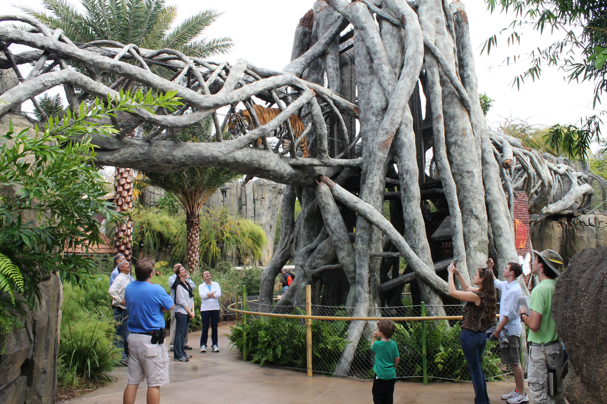 Jacksonville Zoo receives award for Land of the Tiger exhibit Action