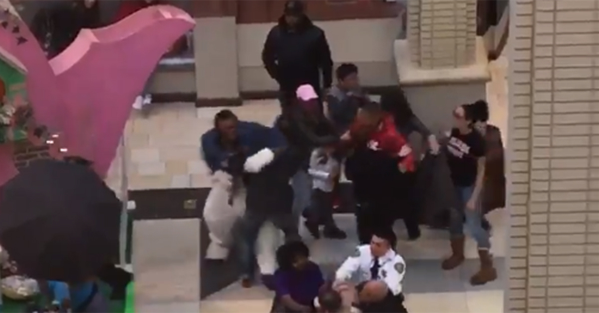 Watch this Easter Bunny get into a brawl at a New Jersey mall WSOC TV