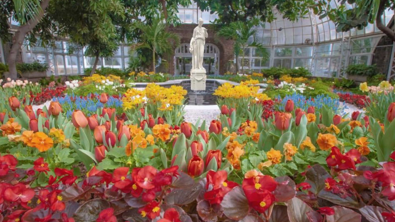 Pittsburgh botanical gardens guide WPXI